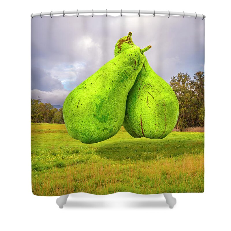 Surrealistic Surrealism Surreal Digital Photograph Pears Fruit Ripe Pair Couple Lovers Love Loving Romantic Friends Sweethearts Rich Colorful Santa Barbara Landscape Serine Calming Whimsical Fun Happy Floating Hovering Weightless Field Meadow Stormy Rising Together Hug Hugging Friendly Fantasy Digital Art Unreal Beyond Real Unusual Unearthly Uncanny Dreamlike Dreamscape Retouched Photoshop Edited Curious Imagination Make-believe Creativity Vision Daydream Fanciful Illusion Original Mind's Eye Shower Curtain featuring the photograph Sweetest Pair by Perry Hambright