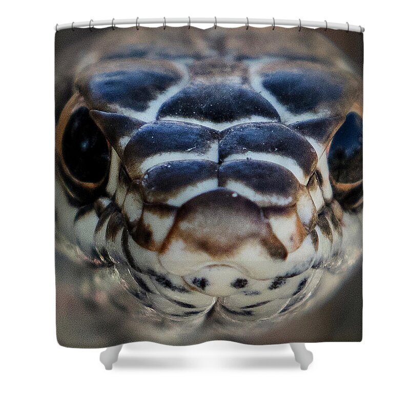  Shower Curtain featuring the photograph _t__1234 by John T Humphrey