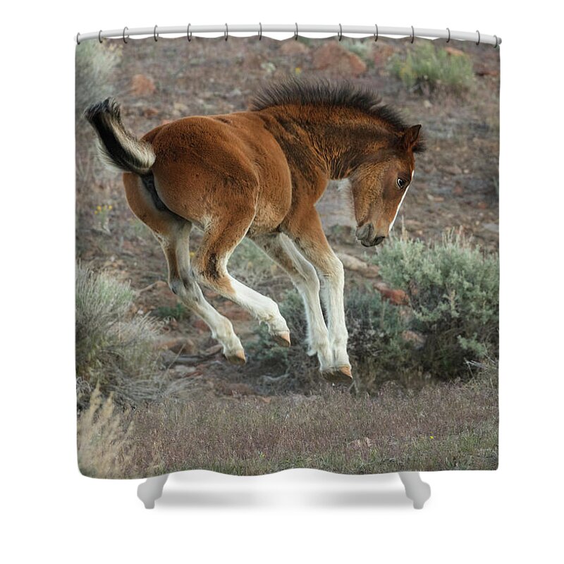  Shower Curtain featuring the photograph _t__2236 by John T Humphrey