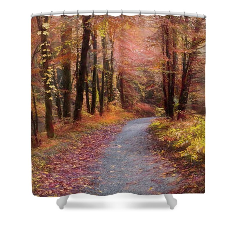 Trail Shower Curtain featuring the photograph Take a Walk in the Woods Panorama Painting by Debra and Dave Vanderlaan