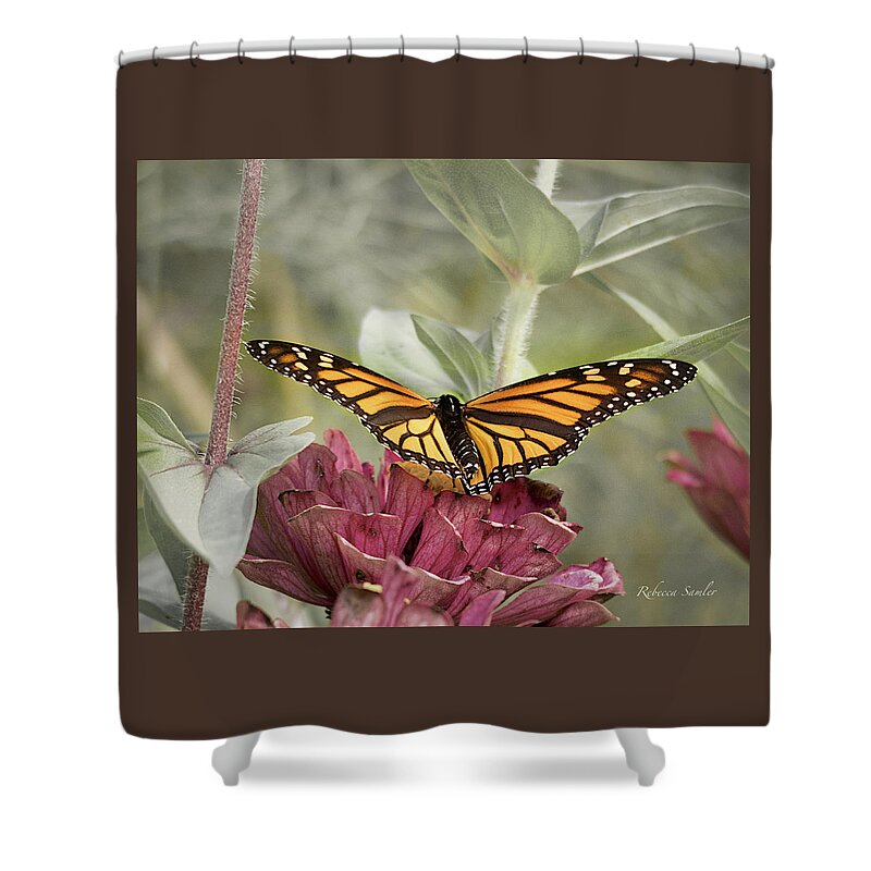 Monarch Shower Curtain featuring the photograph Taking Flight by Rebecca Samler
