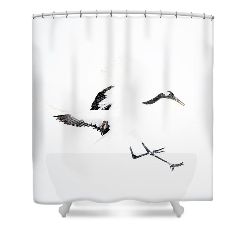 Snow Shower Curtain featuring the photograph Tancho crane by Yoshiki Nakamura