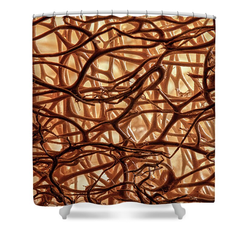 Abstract Shower Curtain featuring the photograph Tangled Roots Macro Abstract by Tom Mc Nemar