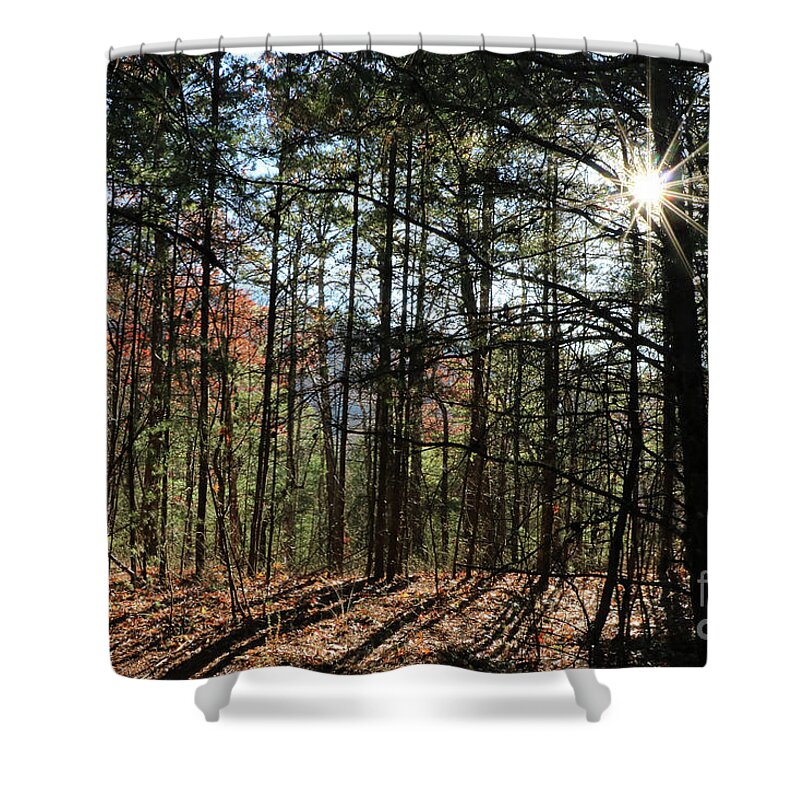 Landscape Shower Curtain featuring the photograph Tangled Woods, Smoky Mountains, Tennessee by Theresa D Williams