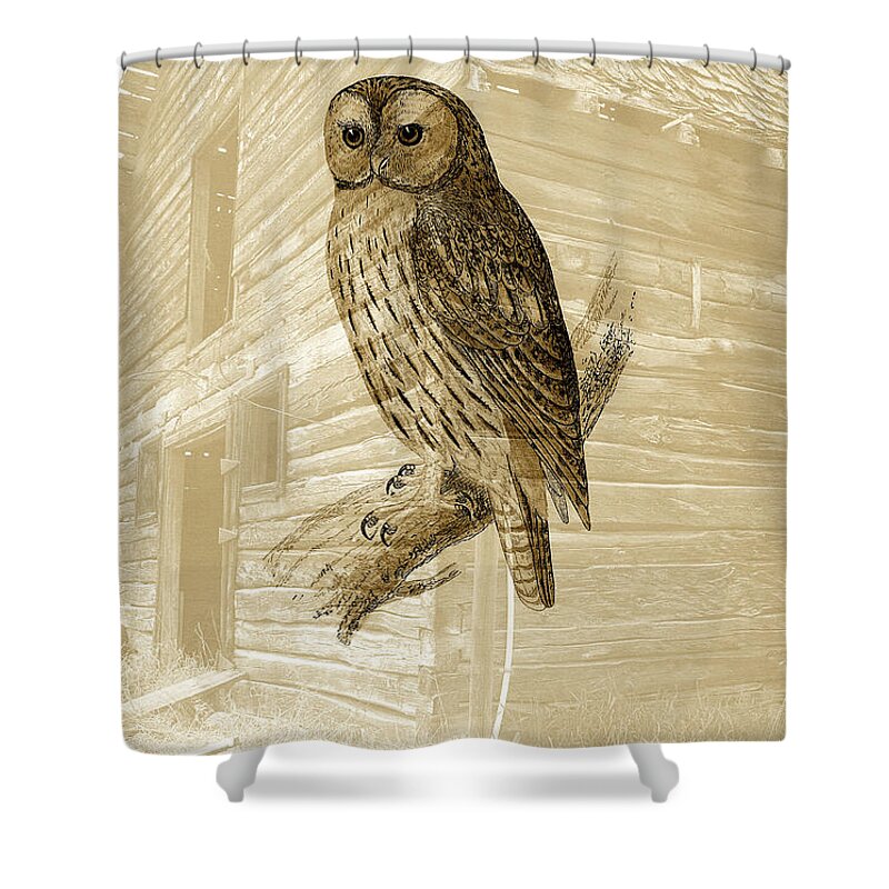 Vintage Shower Curtain featuring the digital art Tawny Owl by Steven Parker