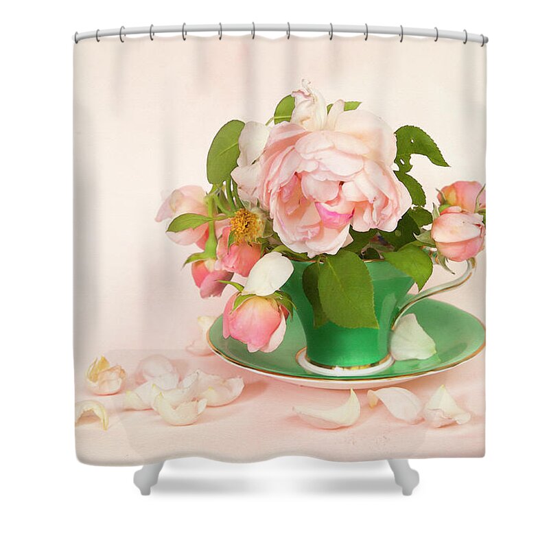 Roses Shower Curtain featuring the photograph Tea Rose by Theresa Tahara