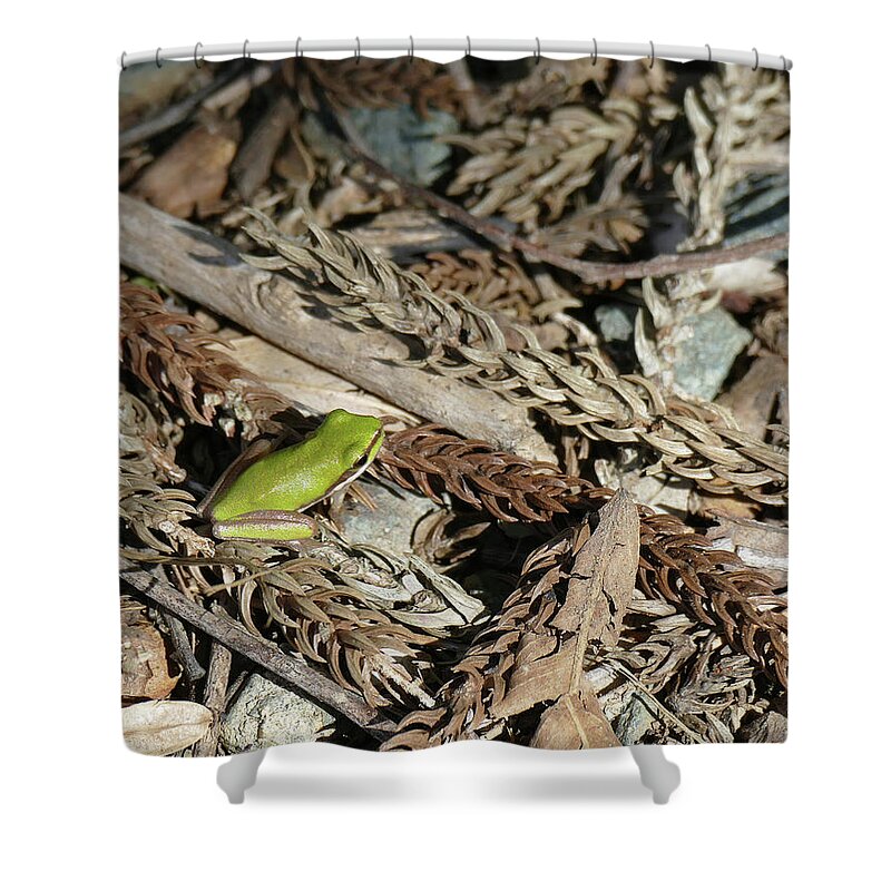 Animals Shower Curtain featuring the photograph Teeny Tiny Froggy on the Forest Floor by Maryse Jansen