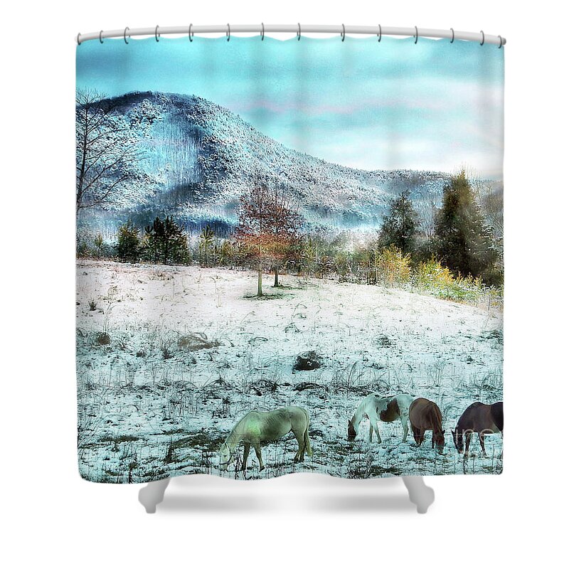 Horses Shower Curtain featuring the photograph Tennesee Meeting by Rick Lipscomb