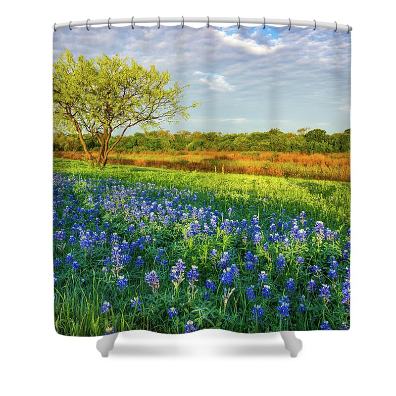 Texas Shower Curtain featuring the photograph Texas Morning Bluebonnets by Ron Long Ltd Photography