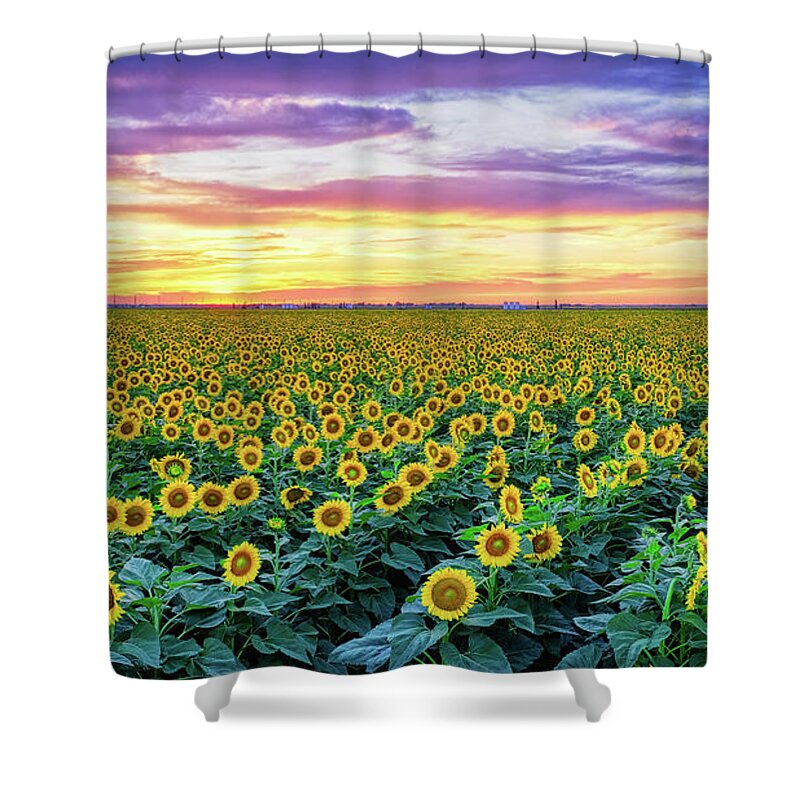 Sunflowers Shower Curtain featuring the photograph Texas Sunflower Field at Sunset Pano by Robert Bellomy