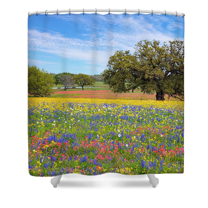 Atascosa County Shower Curtain featuring the photograph Texas Wildflowers on a Spring Afternoon 317 by Rob Greebon