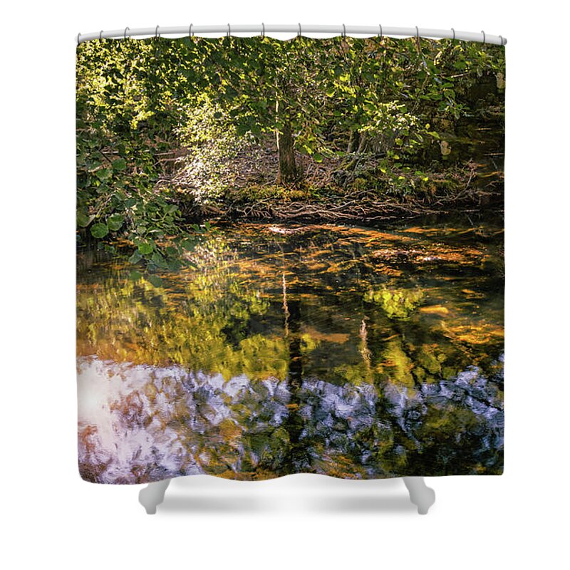 Tree Shower Curtain featuring the photograph Textured tree in the pond by Micah Offman