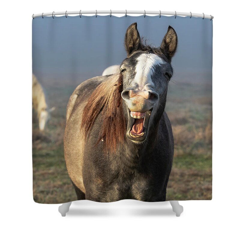 Horse Shower Curtain featuring the photograph That's a Good One by Holly Ross