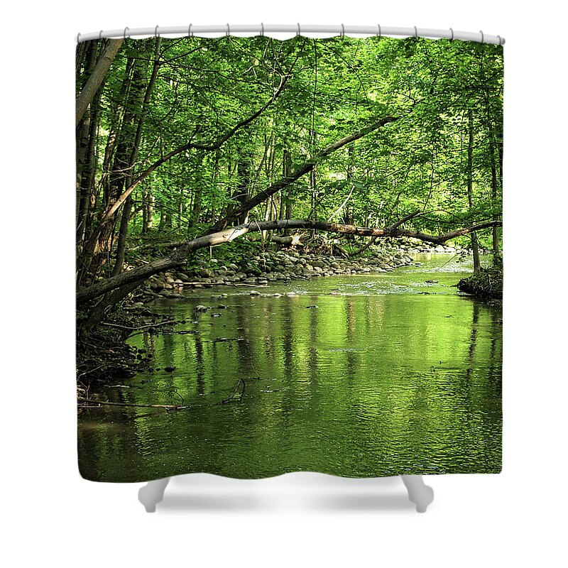 Spring Shower Curtain featuring the photograph The babbling brook by Scott Olsen