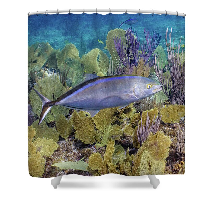 Animals Shower Curtain featuring the photograph The Bar Crossing by Lynne Browne