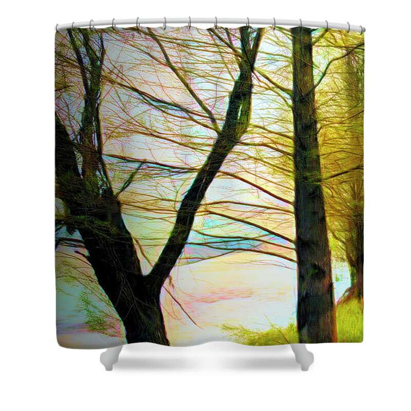 Carolina Shower Curtain featuring the photograph The Beautiful Forest Trail in Abstract in Left Vertical Triptych by Debra and Dave Vanderlaan