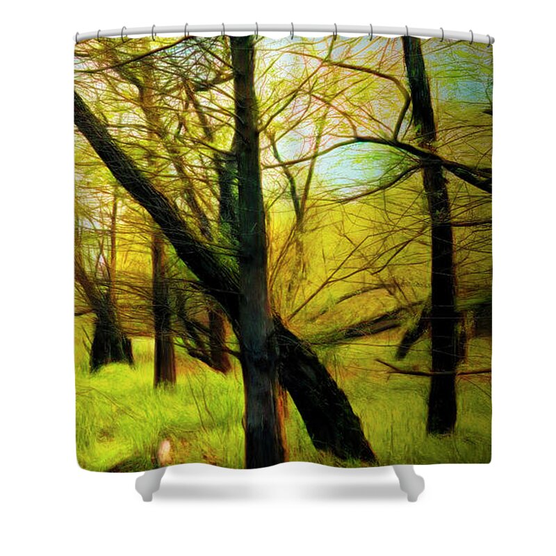 Carolina Shower Curtain featuring the photograph The Beautiful Forest Trail in Abstract in Right Vertical Triptyc by Debra and Dave Vanderlaan