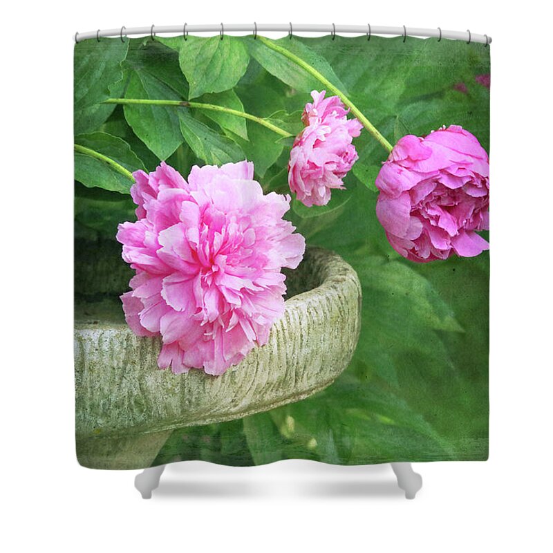 Flower Shower Curtain featuring the photograph The Beauty of Peonies by Trina Ansel