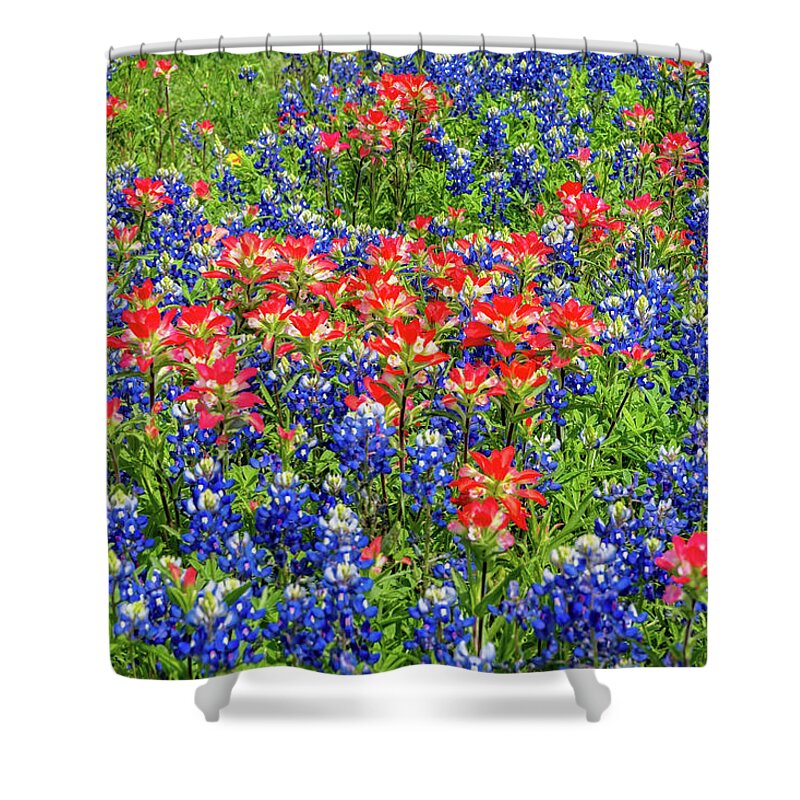 Texas Wildflowers Shower Curtain featuring the photograph The Best of the Best by Lynn Bauer