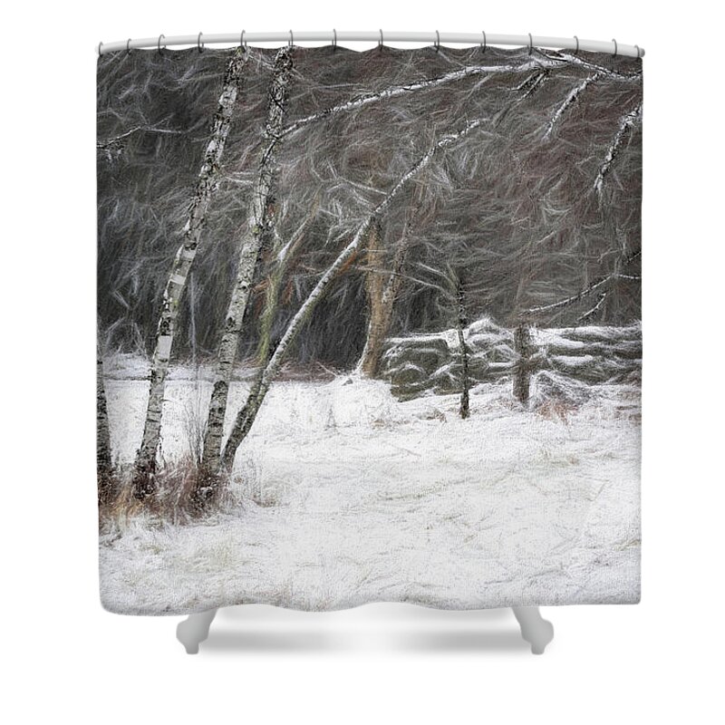 Birch Shower Curtain featuring the photograph The Birches of Orris Road by Wayne King