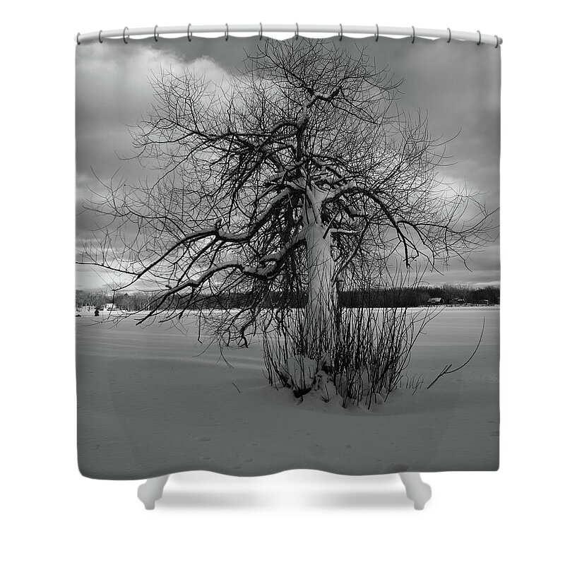Snow Shower Curtain featuring the photograph The calm after the storm by Carl Marceau