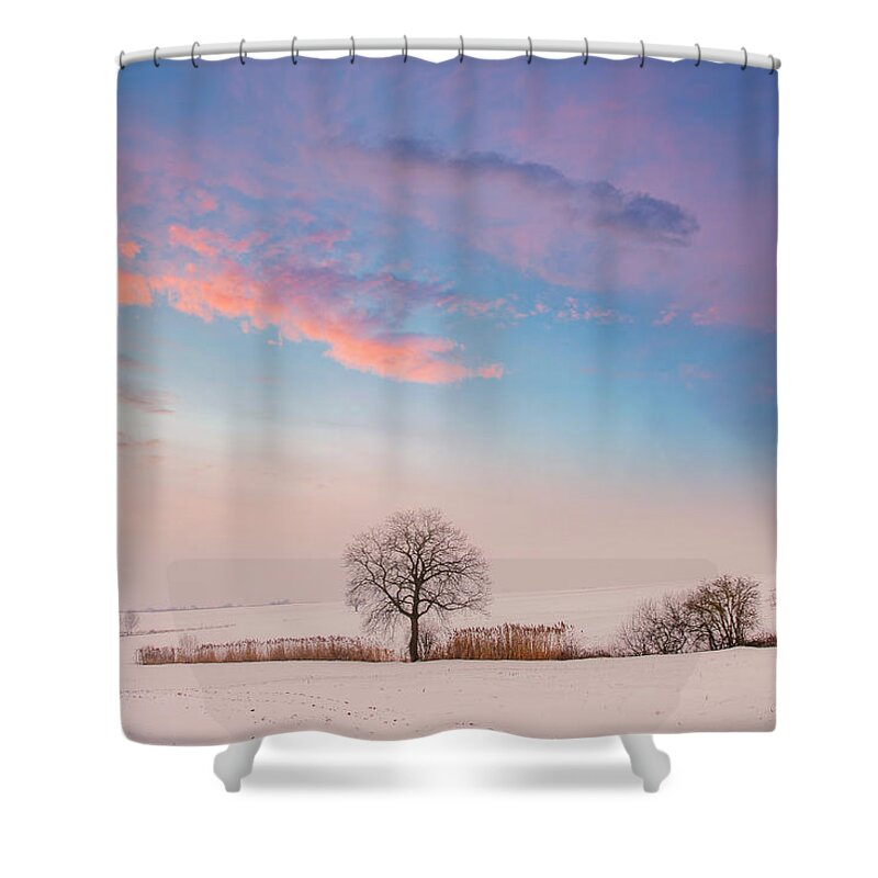 Tree Shower Curtain featuring the photograph The Calm by Philippe Sainte-Laudy