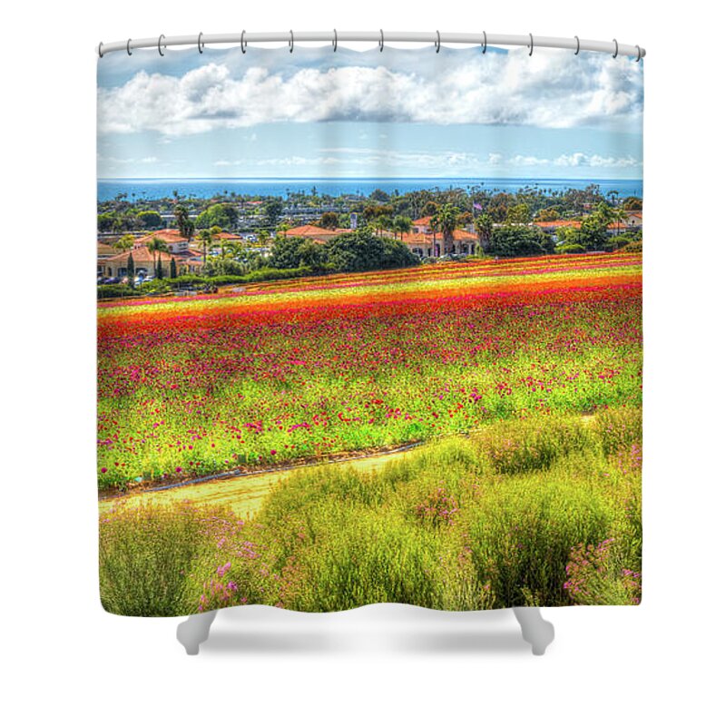 California Shower Curtain featuring the photograph The Carlsbad Flower Fields by David Levin