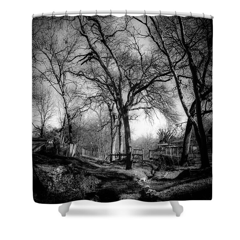 Creek Shower Curtain featuring the photograph The Creek, Again by W Craig Photography