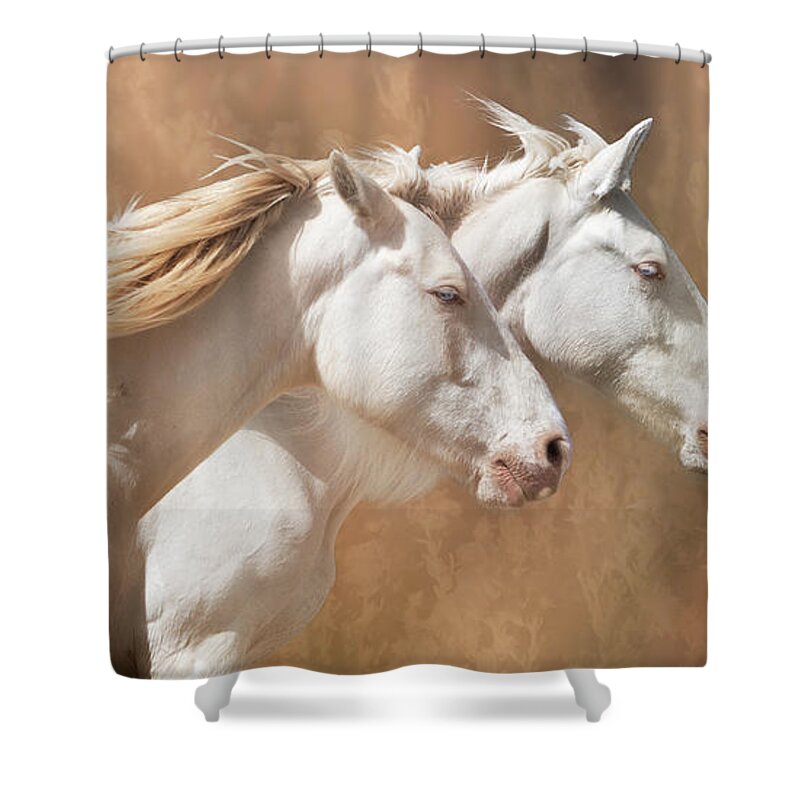 Horses Shower Curtain featuring the photograph The Cremellos by Mary Hone