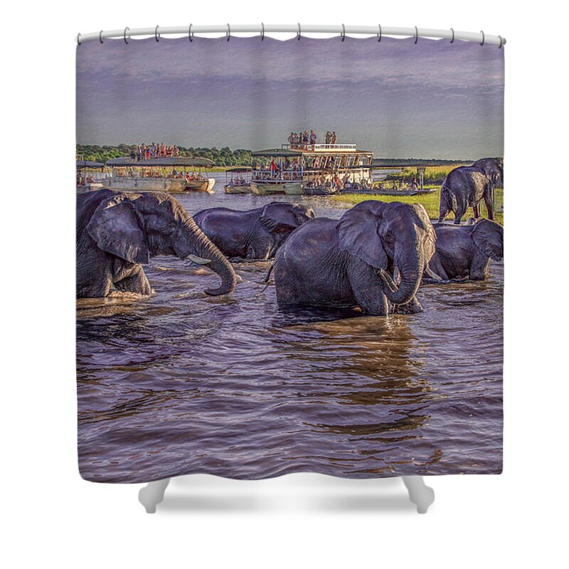 Chobe National Park Shower Curtain featuring the photograph The Crossing by Marcy Wielfaert