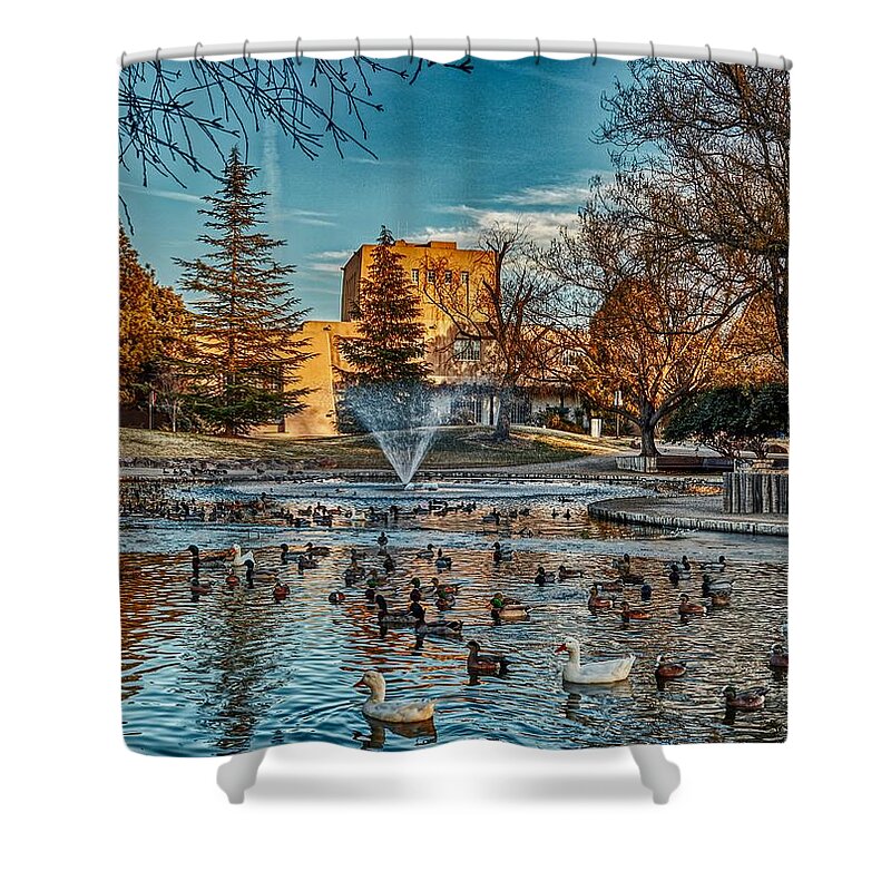 University Of New Mexico Shower Curtains
