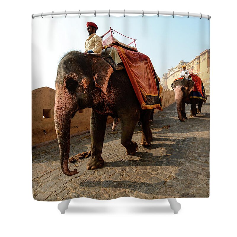 India Shower Curtain featuring the photograph Kingdom Come. - Amber Palace, Rajasthan, India by Earth And Spirit