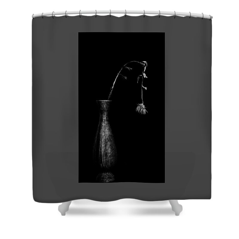 Still Life Shower Curtain featuring the photograph The end, still life with wilting flower by Alessandra RC