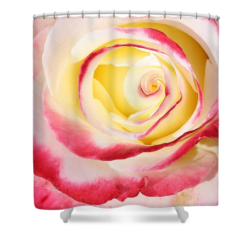 Roses Are Most Beloved And Symbolic Flowers. Love Shower Curtain featuring the photograph The Eye of Beauty by Mingming Jiang