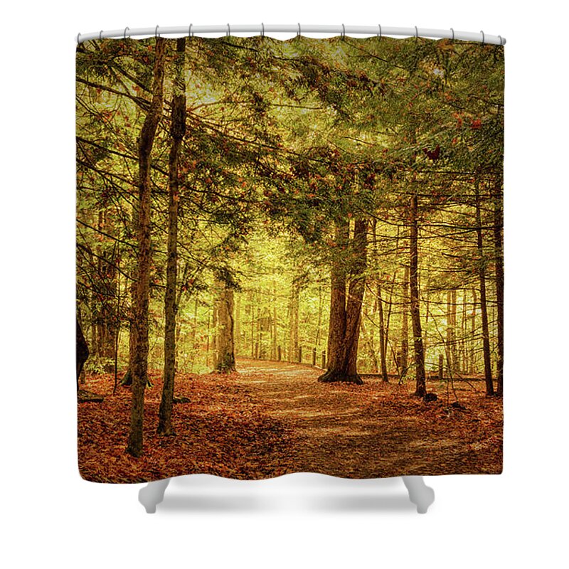 Trail Shower Curtain featuring the photograph The Falls Trail by Rod Best