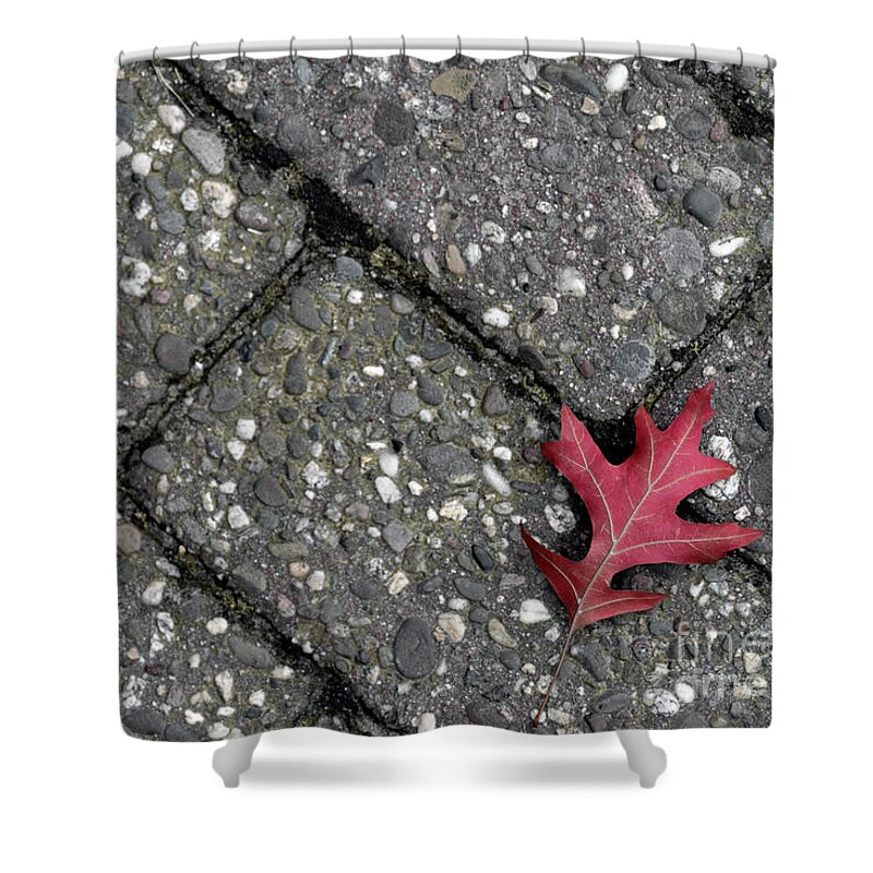 Autumn Shower Curtain featuring the photograph The first of many by Daniel M Walsh