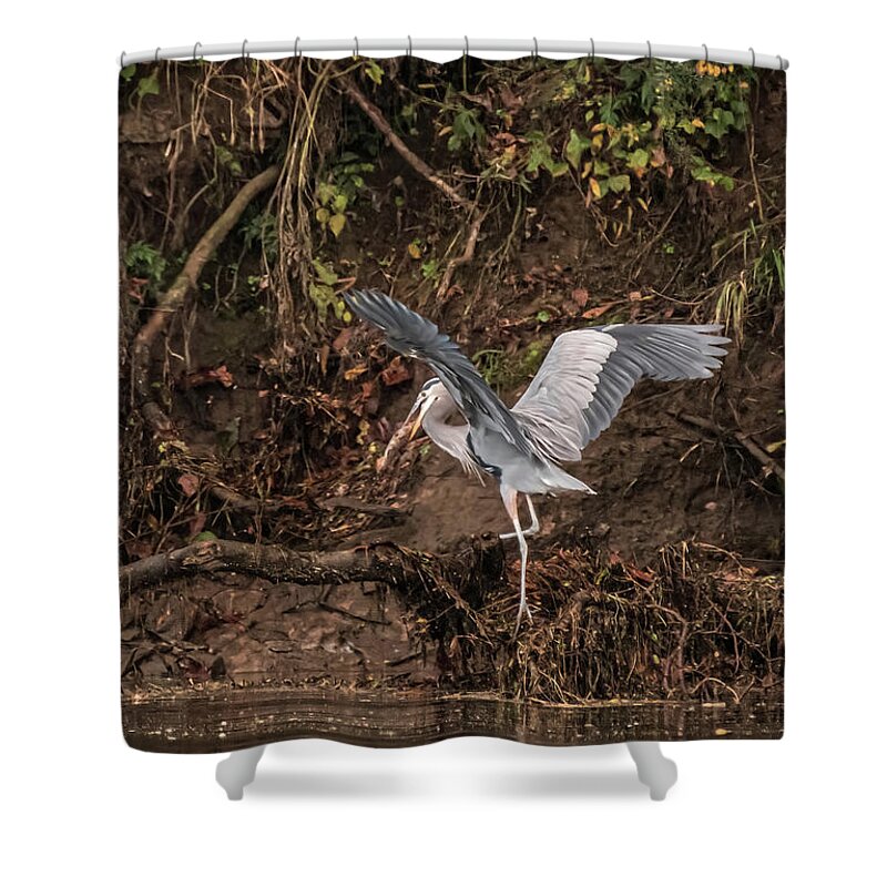 Heron Shower Curtain featuring the photograph The Fisherman by DArcy Evans