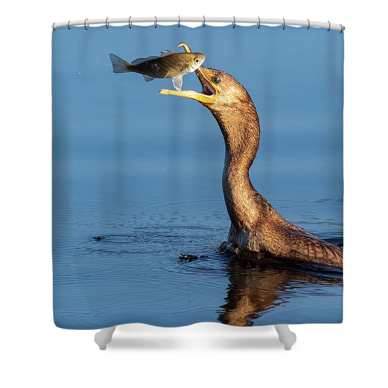 Donnelley Wma Shower Curtain featuring the photograph The Flip by Jim Miller