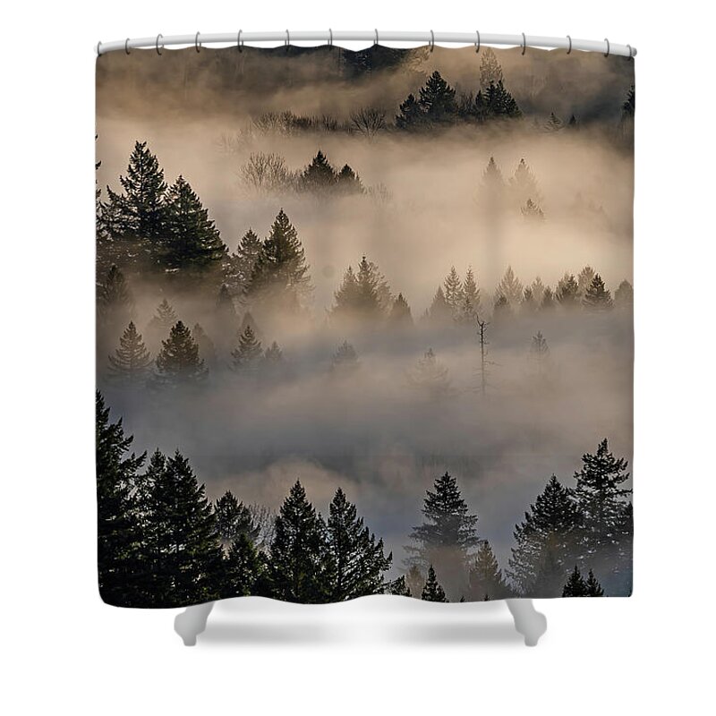Fog Shower Curtain featuring the photograph The fog in the trees. by Ulrich Burkhalter
