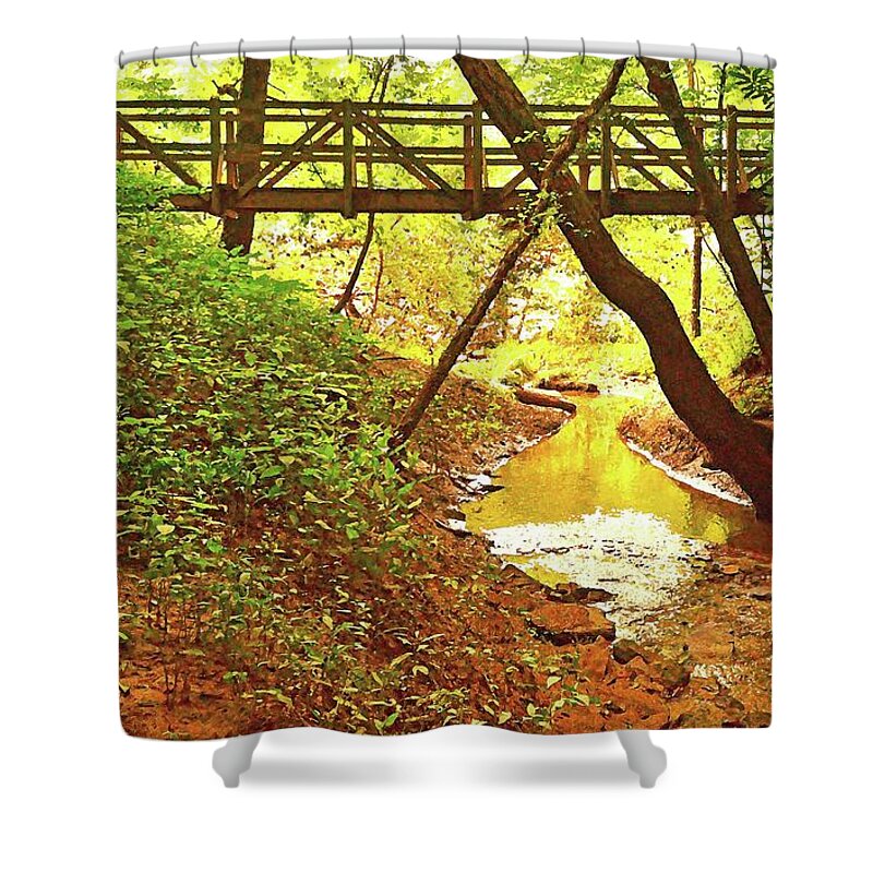 Footbridge Shower Curtain featuring the photograph The Footbridge in the Woods by Stacie Siemsen