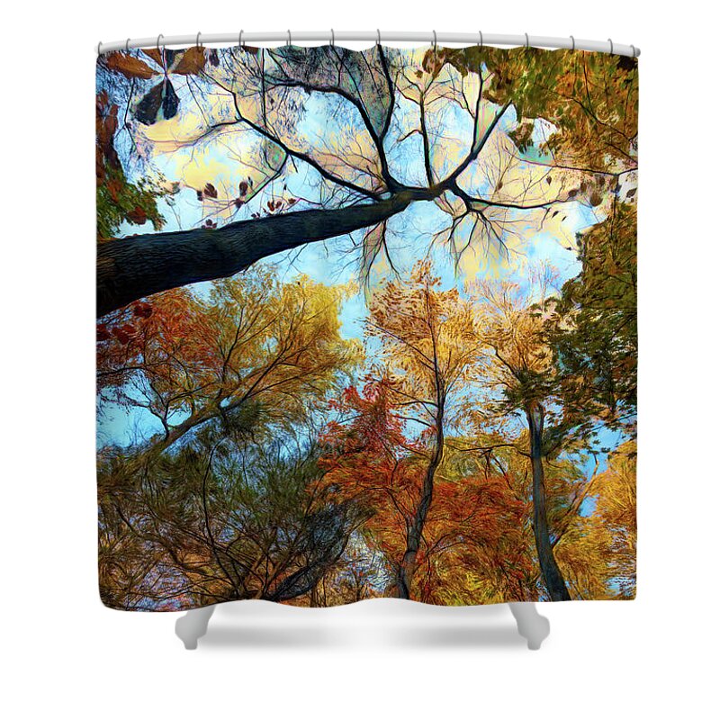 Clouds Shower Curtain featuring the photograph The Forest's Embrace Painting by Debra and Dave Vanderlaan