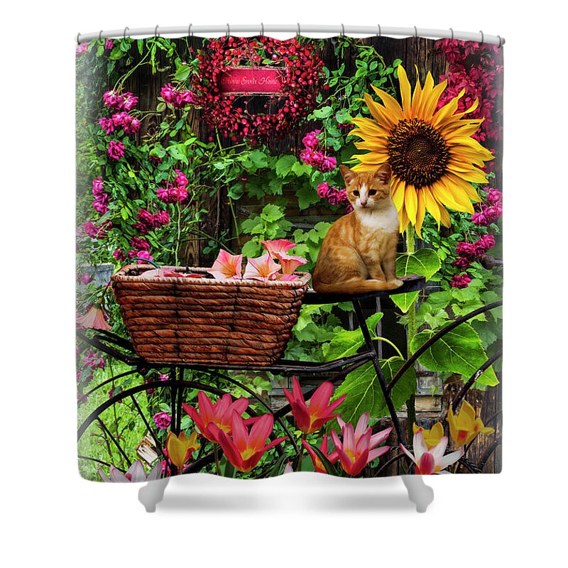 Barns Shower Curtain featuring the photograph The Garden Barn Bordered by Debra and Dave Vanderlaan