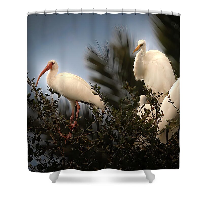 Birds Shower Curtain featuring the photograph The Gathering by Larry Marshall