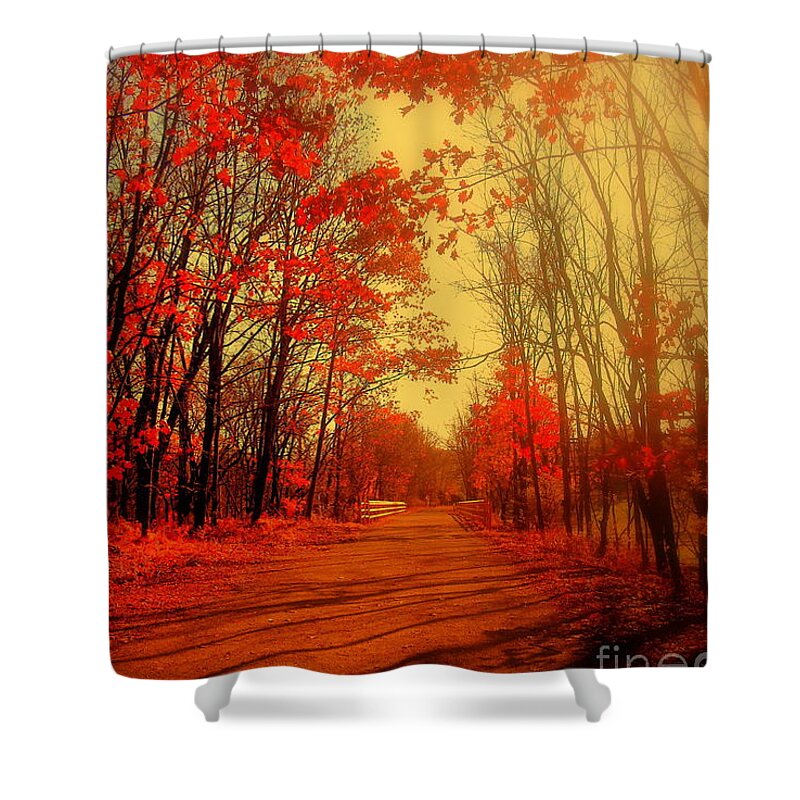 Path Shower Curtain featuring the photograph The Ginger Path by Tami Quigley