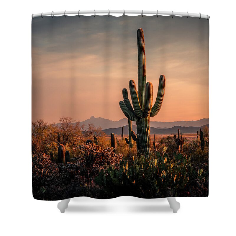 Saguaro Shower Curtain featuring the photograph The Golden Hour in Arizona by Kevin Schwalbe