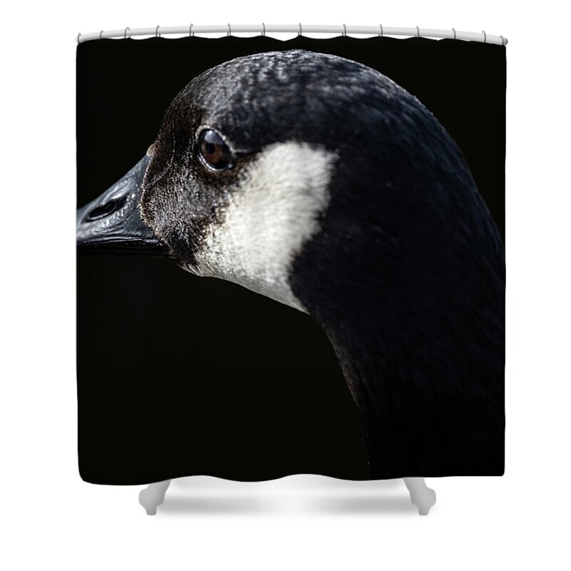Goose Shower Curtain featuring the photograph The Goose by Jerry Cahill