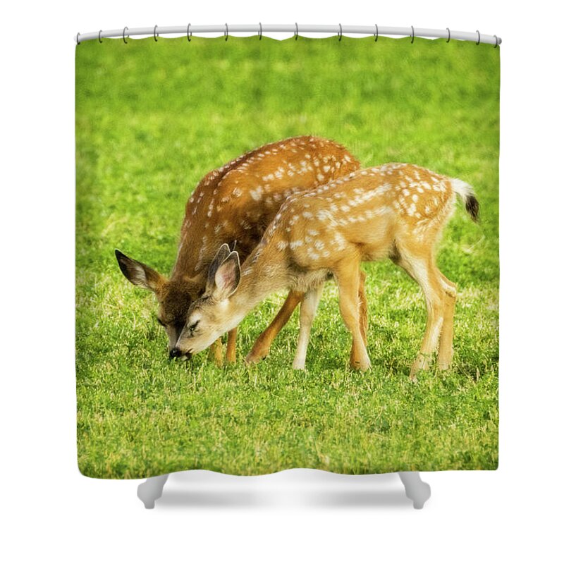 Grass Shower Curtain featuring the photograph The Grass is Greener by Mike Lee