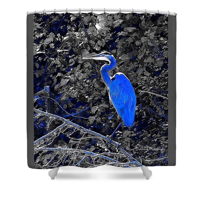 Heron Shower Curtain featuring the photograph The Great Blue Heron by Mary Walchuck