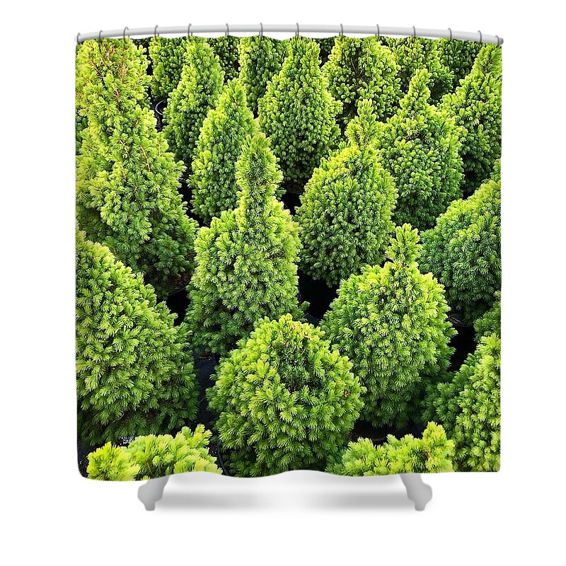 Green Shower Curtain featuring the photograph The Green by Jim Whitley