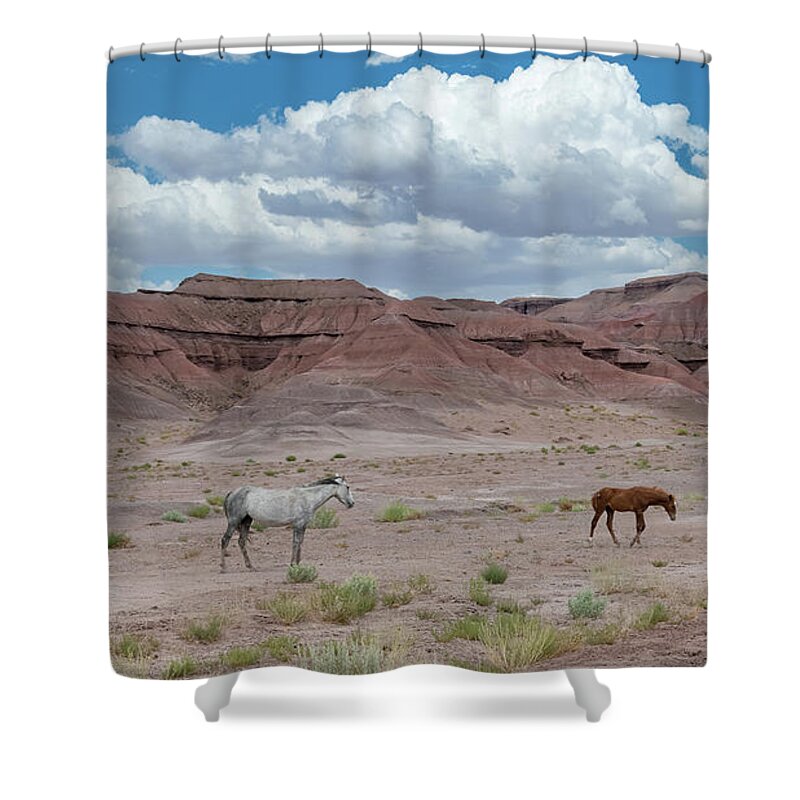 Stallion Shower Curtain featuring the photograph The High Desert. by Paul Martin